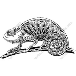 Intricate Black and White Chameleon