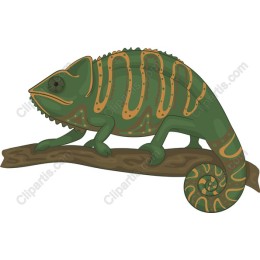 Vibrant Chameleon