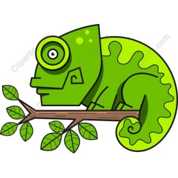 Vibrant Playful Chameleon