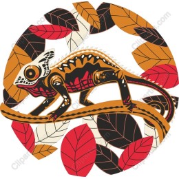 Vibrant Chameleon