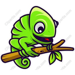 Playful Chameleon