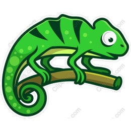 Vibrant Green Chameleon