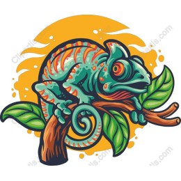 Vibrant Chameleon