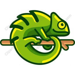 Vibrant Chameleon