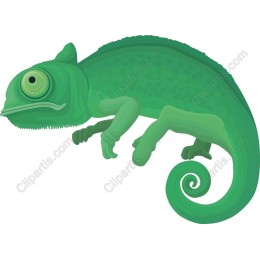 Vibrant Green Chameleon