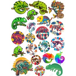 Chameleon Bundle - Clipart Set