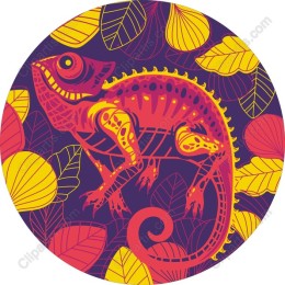 Vibrant Chameleon
