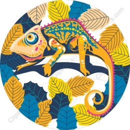 Colorful Chameleon