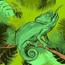 Chameleon in Paradise