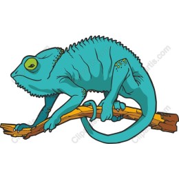 Chameleon - Whimsical Nature