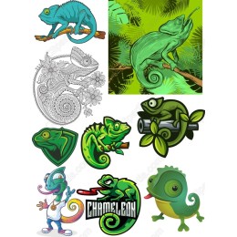 Chameleon Bundle