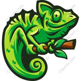 Vibrant Chameleon