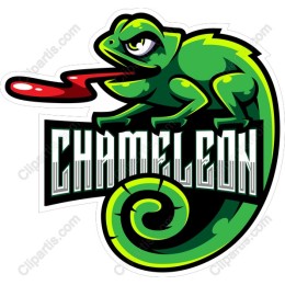 Vibrant Chameleon