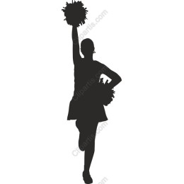 Dynamic Cheerleader
