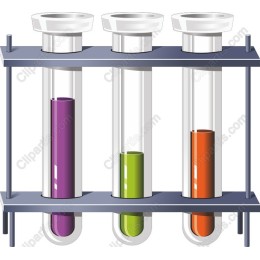 Vibrant Test Tube Rack