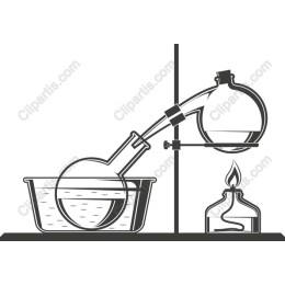  Science Experiment