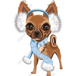Charming Chihuahua Winter