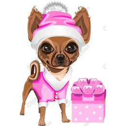 Festive Chihuahua with Gift Box