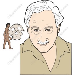 Human Evolution