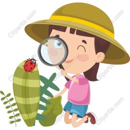Nature Explorer