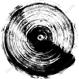 Vinyl Record