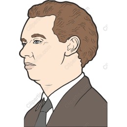 Professional Male Profile
