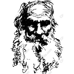 Wise Elder