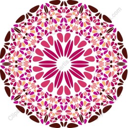 Vibrant Floral Mandala