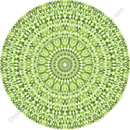 Floral Mandala