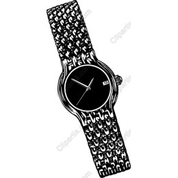 Elegant Wristwatch