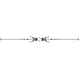 Elegant Decorative Border