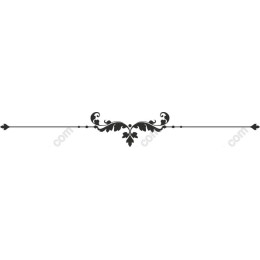 Elegant Decorative Border