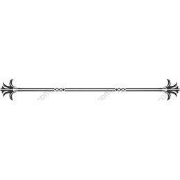 Elegant Ornamental Border