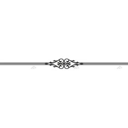 Elegant Decorative Border