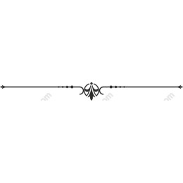 Elegant Floral Ornamental Divider