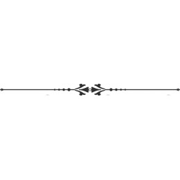 Elegant Ornamental Divider