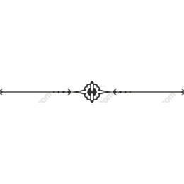 Elegant Decorative Border