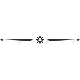 Elegant Decorative Element