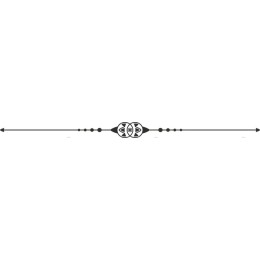 Elegant Decorative Border