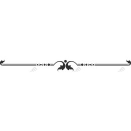 Elegant Image