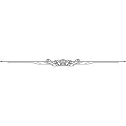 Elegant Decorative Flourish