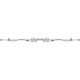 Elegant Ornamental Border
