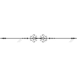 Elegant Decorative Border