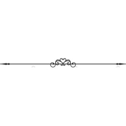 Elegant Ornament