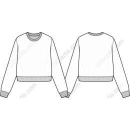 Classic Cropped Sweatshirt
