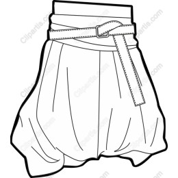 Trendy Skirt with Belt