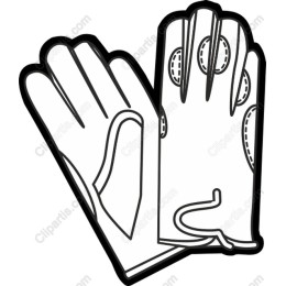 Premium of Gloves
