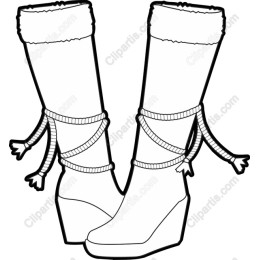 Chic Winter Boots