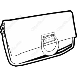 Elegant Clutch Bag