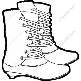 Chic Winter Boots